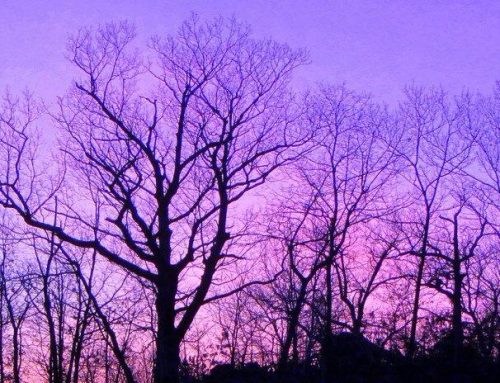 Poem by Walter Ruhlmann