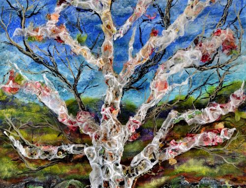 Poem by Alec Solomita