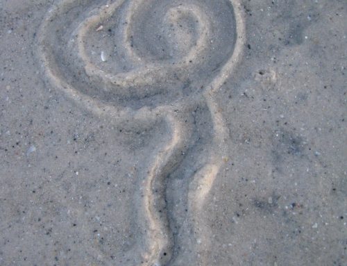 Poem by Jeffrey S. Callico