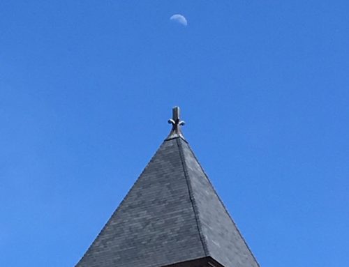 Poem by Charles Rammelkamp