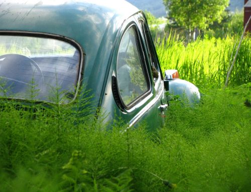 Poem by  Steven and Benjamin Ostrowski