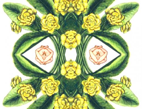 Poem by Zvi A. Sesling