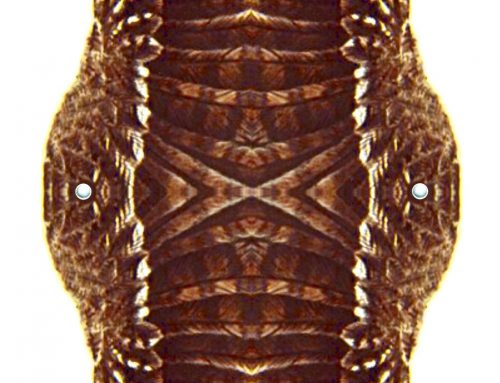 Poem by Candice Kelsey