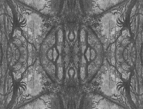 Three Poems by Edward Lee