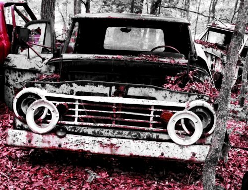 Fiction by Jonathan Ferrini