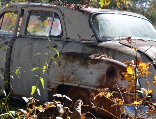 Poem by  Alex Z. Salinas