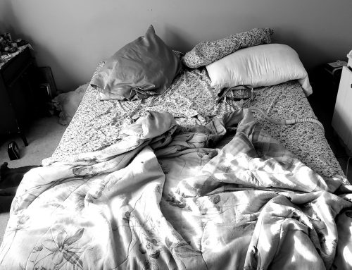 Flash Fiction by Susan Tepper