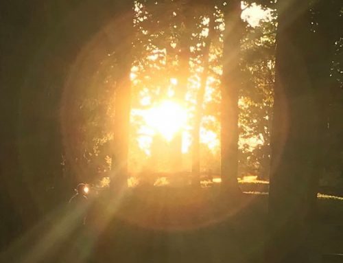 Poem by Nathan Graziano