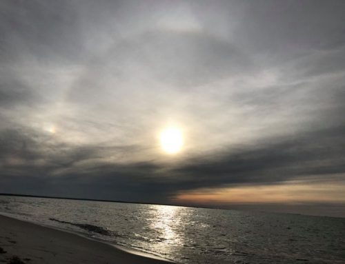 Poem by Steven Fortune