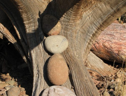 Poem by Scott Taylor