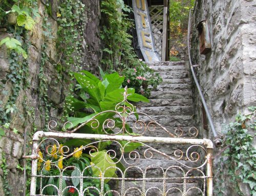 Poem by Cameron Morse