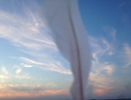 Poem by Jennifer Matthews