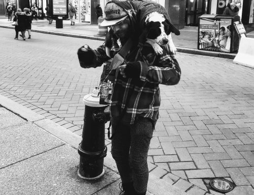 Poem by Emily Porter