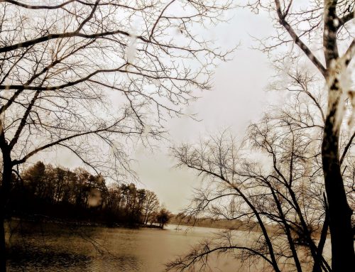 Poem by Deta Galloway