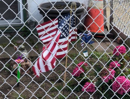 Poem by Caroline Johnson