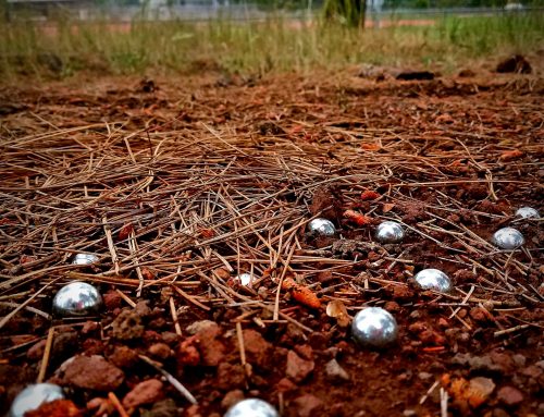 Poem by Amrita Valan