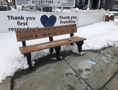 Poem by Marsha Johansen