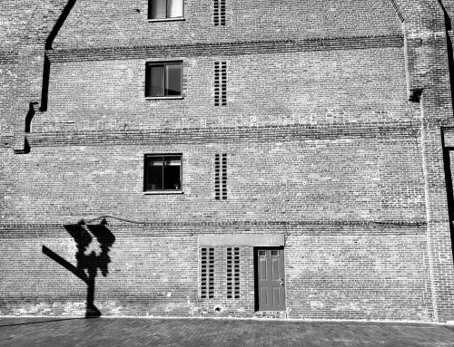 Poem by Paul Koniecki