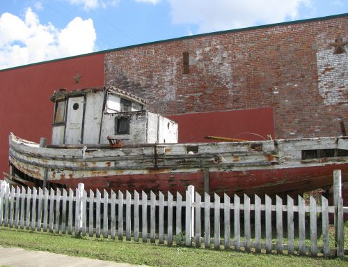 Poem by Samara Chahine