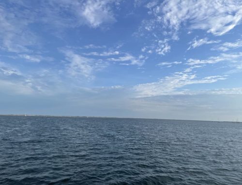 Poem by Dennis Mahagin