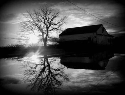 Poem by Susan Isla Tepper