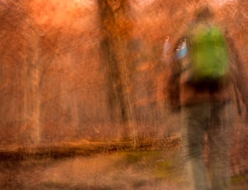 Poem by Richard Dinges, Jr.