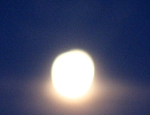 Poem by James Croal Jackson