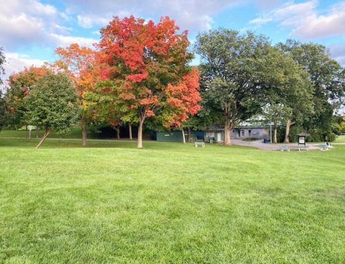 Poem by Luis Lázaro Tijerina