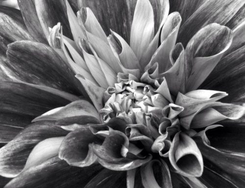 Poem by Susan Isla Tepper