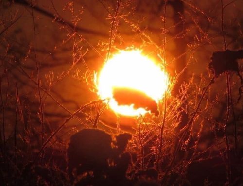 Flash Fiction by Susan Isla Tepper