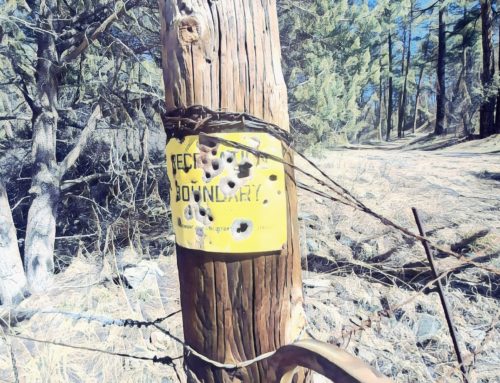 Poem by Tinamarie Cox