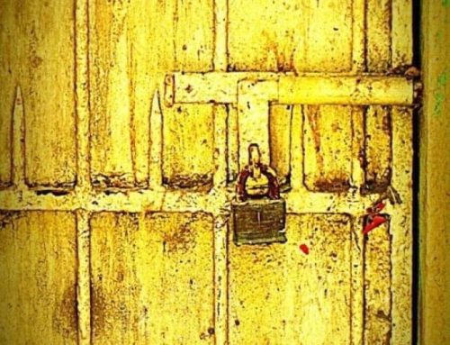 Poem by Susan Isla Tepper