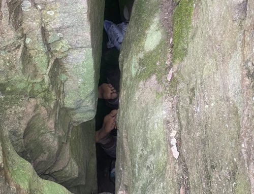 Poem by Mike Mesterton-Gibbons