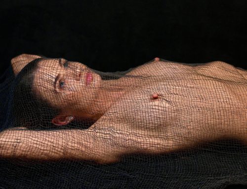 Poem by David Jibson