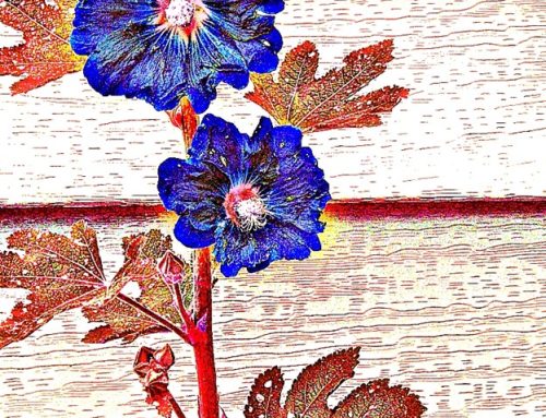 Poem by Leigh Parsons