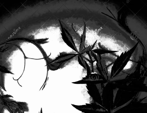 Poem by Debra Nordyke