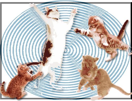 Essay by Steven David Justin Sills