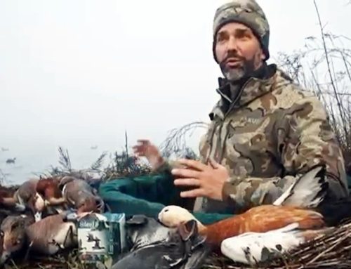 Poem by Mike Mesterton-Gibbons