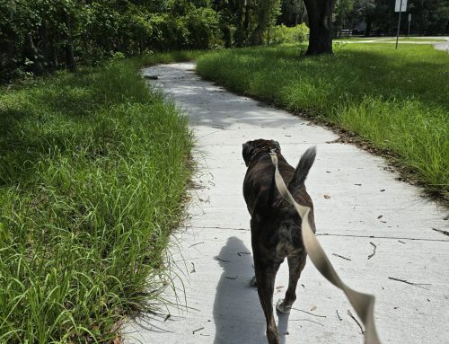 Poem by Terry Trowbridge