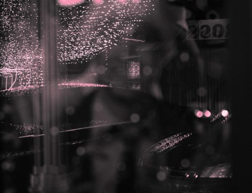 Poem by Scott Taylor