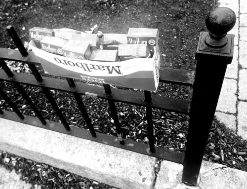 Poem by Megan Cartwright