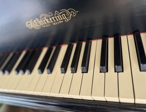 Poem by Jennifer Matthews