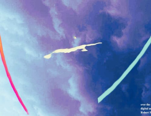 Flash Fiction by Liza Olson