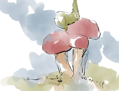 Poem by Bailey Brooke