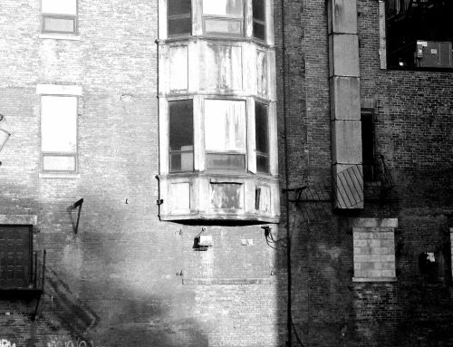 Poem by Marsha Johansen