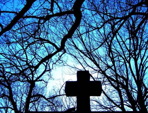 Poem by Susan Isla Tepper