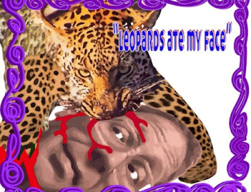 Essay by Grady VanWright