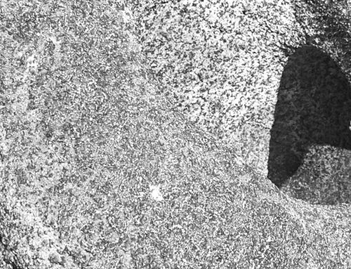 Poem by Ann Randlette