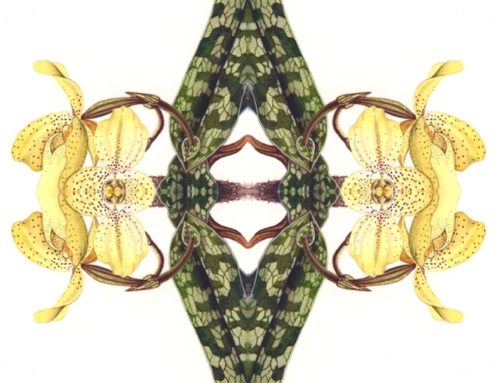 Poem by Al Scott Pearce Baker