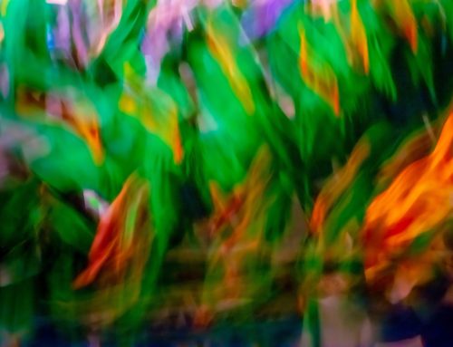 Poem by Allyson Kling